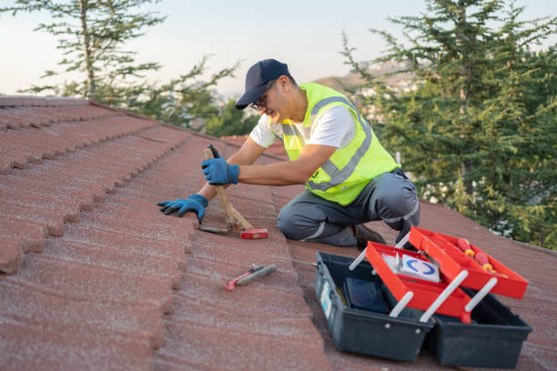 Best Local Roofing Companies  in Louisa, VA